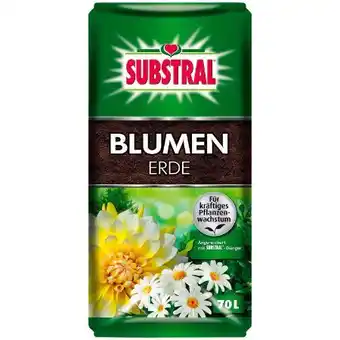 Hagebau Substral Blumenerde Angebot