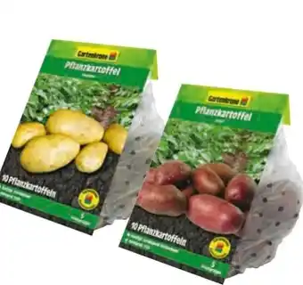 Hagebau Garten Krone Pflanzkartoffeln Angebot