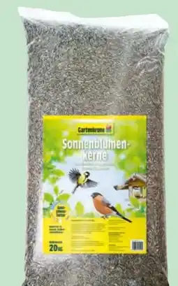 Hagebau Garten Krone Sonnenblumenkerne Angebot