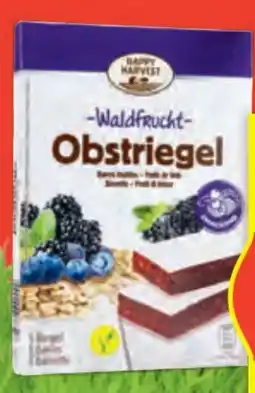 Hofer Happy Harvest Obstriegel Angebot