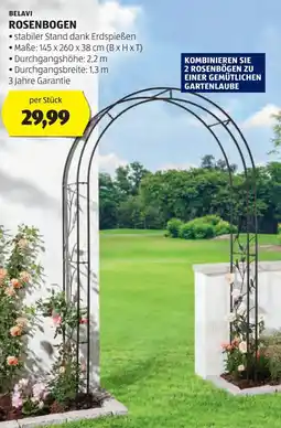 Hofer Rosenbogen Angebot