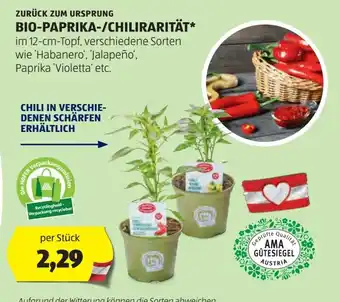 Hofer Bio-paprika-/chilirarität Angebot