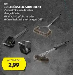 Hofer Grillbürsten-sortiment Angebot