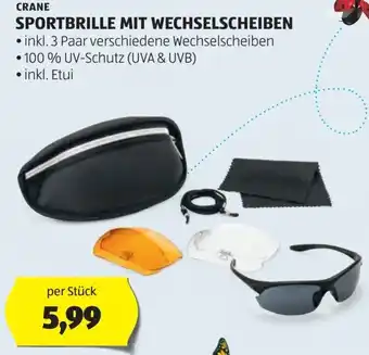 Hofer Sportbrille mit wechselscheiben Angebot