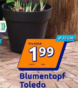 Action Blumentopf Toledo Angebot