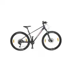 Hervis DAMEN MOUNTAINBIKE PEAK MT HERVIS Angebot