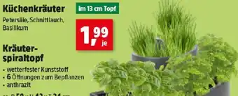 Thomas Philipps Küchenkräuter Angebot