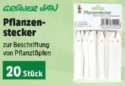 Thomas Philipps Pflanzen- stecker Angebot