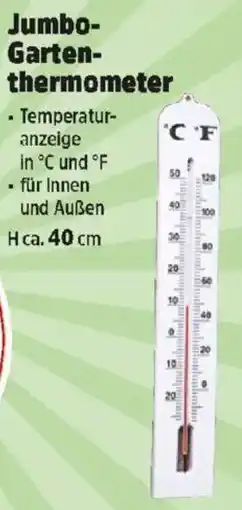 Thomas Philipps Jumbo- Garten- thermometer Angebot