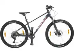 Hervis KTM Herren Mountainbike Peak Angebot