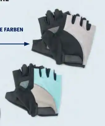 Hofer Crane Damen Radhandschuhe Angebot