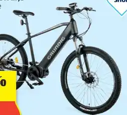 Hofer Grundig E-Mountainbike HT Angebot