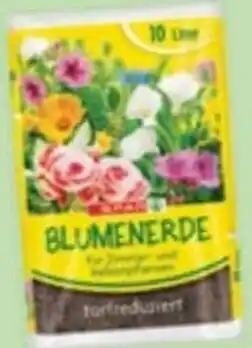 Maximarkt Blumenerde Angebot