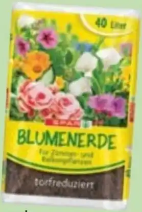 Maximarkt Blumenerde Angebot