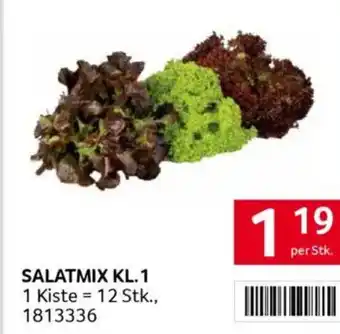 Transgourmet SALATMIX Angebot