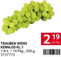 Transgourmet Trauben weiss kernlos Angebot