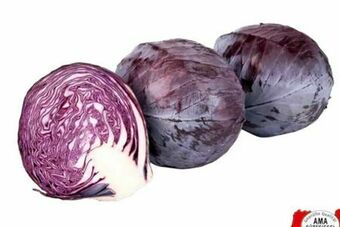 Transgourmet Rotkraut Angebot