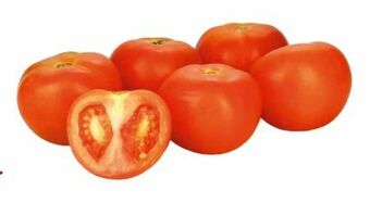 Transgourmet Tomaten Angebot