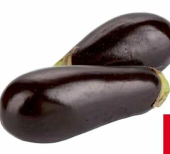 Transgourmet Melanzani Angebot