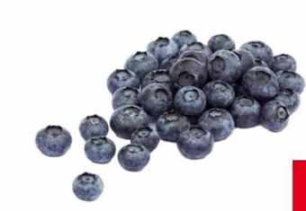 Transgourmet Heidelbeeren Angebot