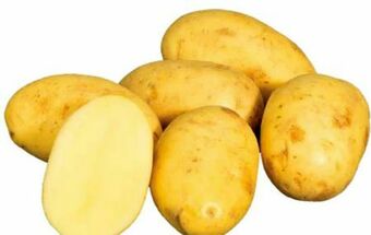 Transgourmet Kartoffeln Angebot