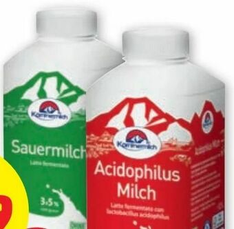 PENNY Acidophilus Milch Angebot