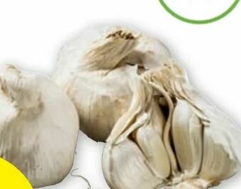PENNY Knoblauch Angebot