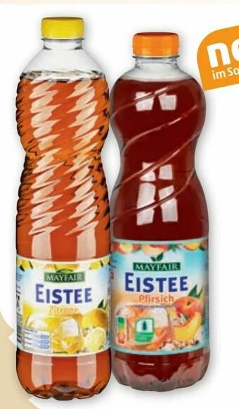 PENNY Eistee Angebot