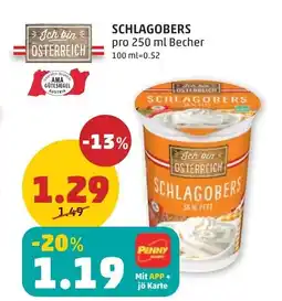 PENNY SCHLAGOBERS Angebot