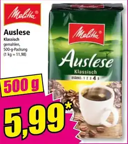 Norma Auslese Angebot