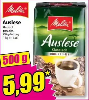 Norma Auslese Angebot