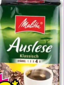 Norma Melitta Auslese Angebot