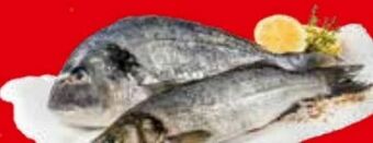 Interspar Goldbrasse Angebot