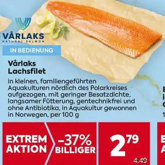 Billa Lachsfilet Angebot