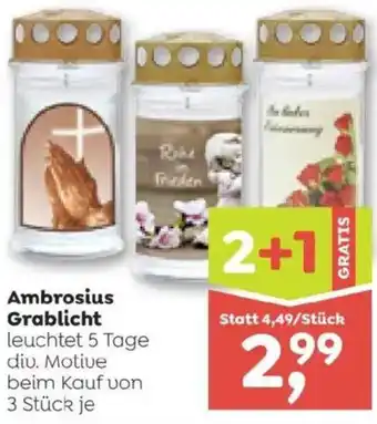 ADEG Ambrosius Grablicht Angebot