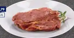 Hofer FairHof Grillfleisch Angebot