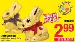 Maximarkt Goldhase Angebot