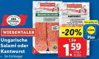 Lidl Ungarische Salami oder Kantwurst Angebot
