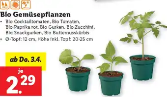 Lidl Bio Gemüsepflanzen Angebot