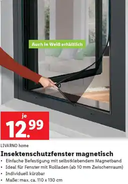 Lidl Insektenschutzfenster magnetisch Angebot