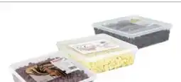 Transgourmet Freudenschuss Schokolinsen Angebot