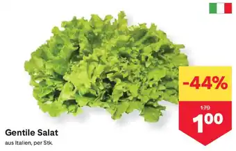 MPreis Gentile Salat Angebot