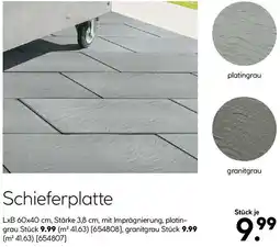 Hellweg Schieferplatte Angebot
