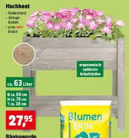 Thomas Philipps Hochbeet Angebot