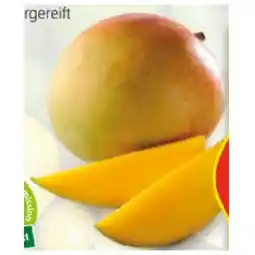 Hofer Iss Reif! Mango HOFER Angebot