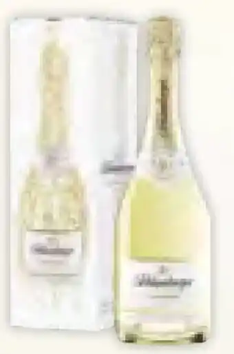 Müller Schlumberger Sekt Angebot