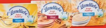 Hofer Pudding Angebot