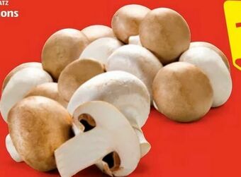 Hofer Champignons Angebot