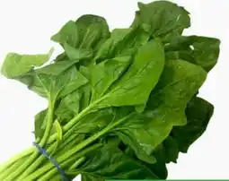 ETSAN Spinat Angebot