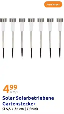 Action Solar solarbetriebene gartenstecker Angebot